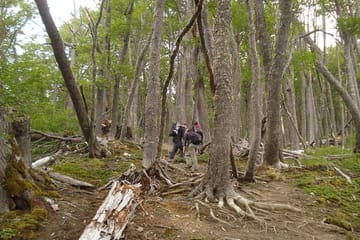 Turquoise Lagoon and Carbajal Hill Trekking in Ushuaia
