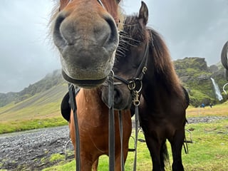 Írafoss Waterfall Tour, photo 18
