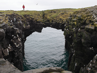 Snaefellsnes Peninsula tour in Spanish: Small group from Reykjavik, photo 13