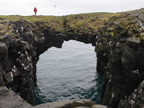 Snaefellsnes Peninsula tour in Spanish: Small group from Reykjavik, photo 13