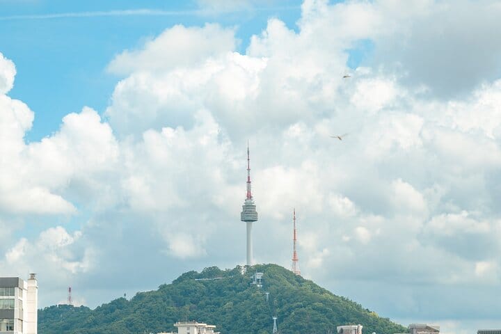 airport pickup, Seoul culture tour, Seoul first‑time visitors,Seoul private tour,hotel pickup, Seoul small group,family‑friendly Seoul,wheelchair accessible Seoul tour,N Seoul Tower,Custom itinerary