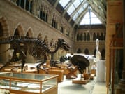 Oxford, Shakespeare Country & Warwick castle private Tour 2
