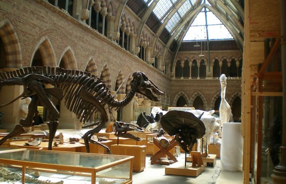 Oxford, Shakespeare Country & Warwick castle private Tour