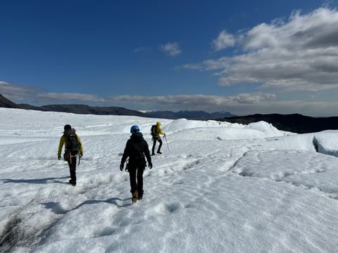 The Ultimate Glacier Exploration (Full Day Hike, Ice Climb & Ice Cave*), photo 4
