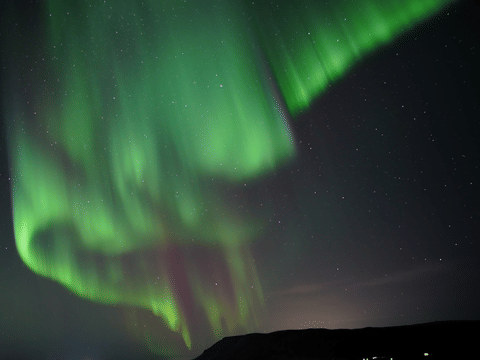 Private deutschsprachige Nordlicht-Tour mit Luxus-Van ab Reykjavík, photo 4