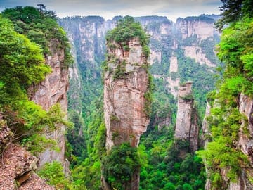 1 Day Avatar Mountain & Fores Park Group Tour with VIP Access