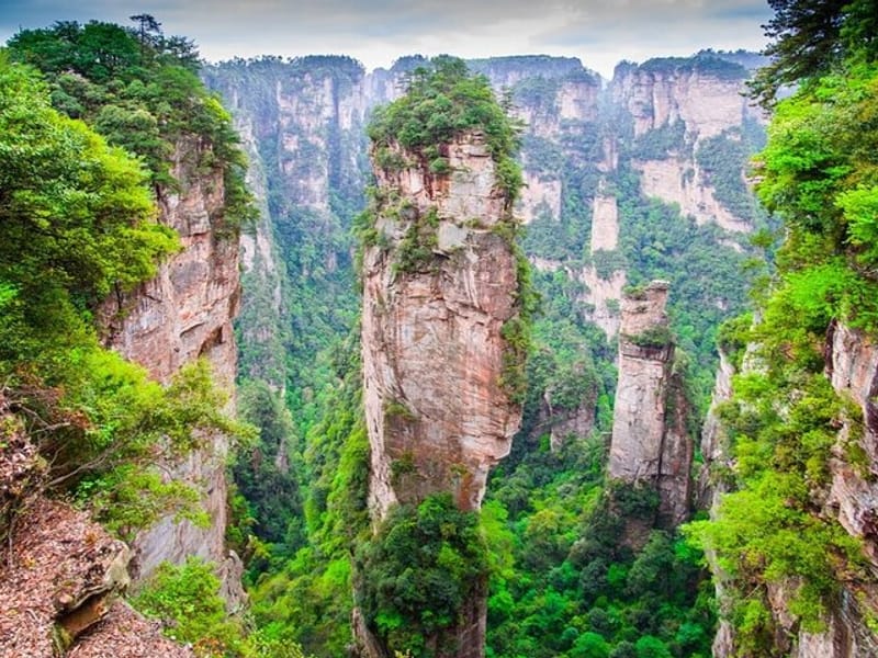 1 Day Avatar Mountain & Fores Park Group Tour with VIP Access