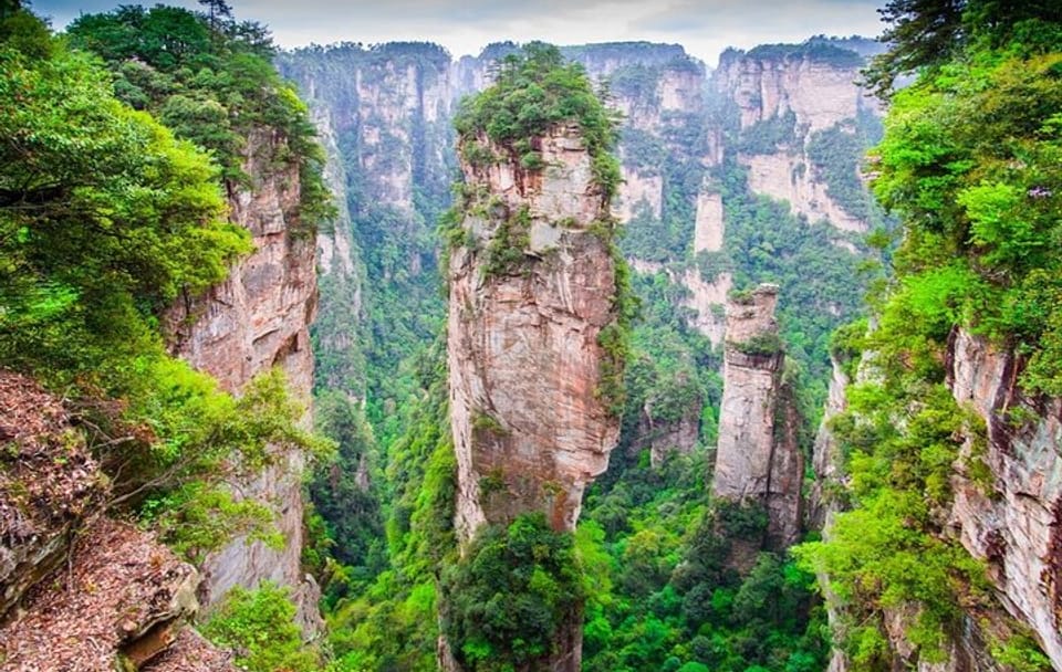 Zhangjiajie National Forest Park VIP Group Tour Experience