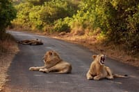 Nairobi National park