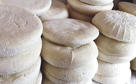 Troodos Mountain Halloumi Cheese Making Workshop Tour