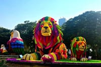 Dubai Garden Glow Tickets with Transport Options 8