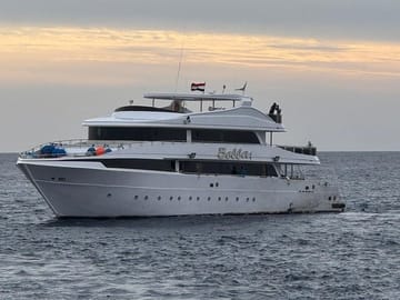 Snorkeling with Dolphins at Sataya Reefs from Marsa Alam