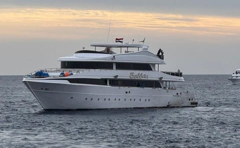 Snorkeling with Dolphins at Sataya Reefs from Marsa Alam