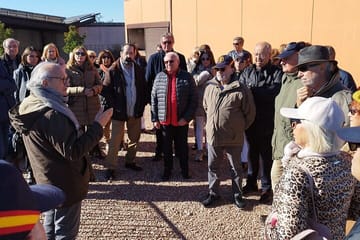 Vineyard Tour with Wine Tasting and Snacks in Requena