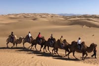 Private Day Tour to Kubuqi Desert from Hohhot with Pick Up 1