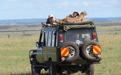 3-Day Masai Mara Safari with Hot Air Balloon Ride in Kenya