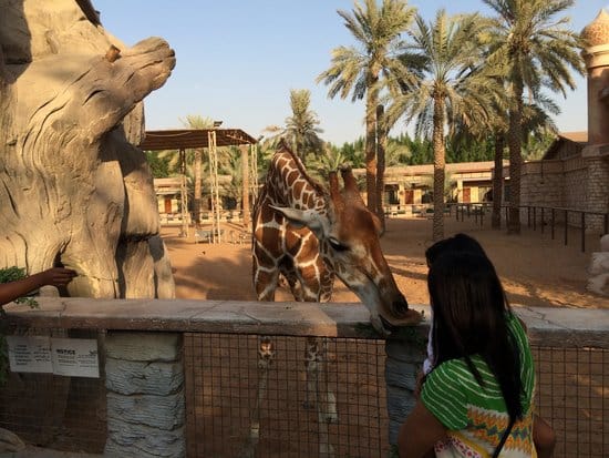 Abu Dhabi: Emirates Park Zoo – Interact, Explore, Discover Wildlife!