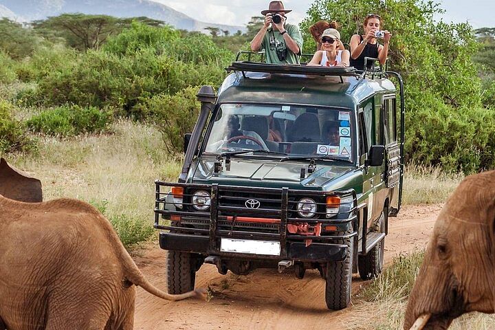 Mombasa to Amboseli & Tsavo Safari: Wildlife Adventure Tour