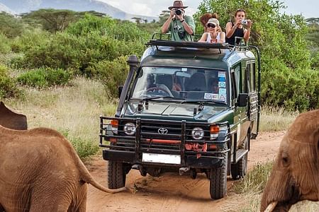 Mombasa to Amboseli & Tsavo Safari: Wildlife Adventure Tour