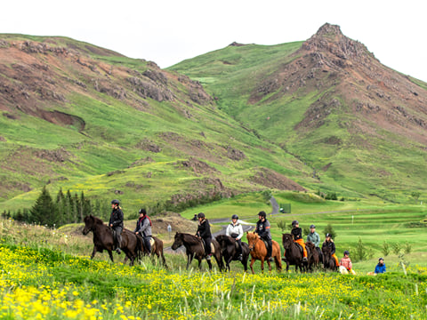 05C - Riding and Relaxation, photo 9