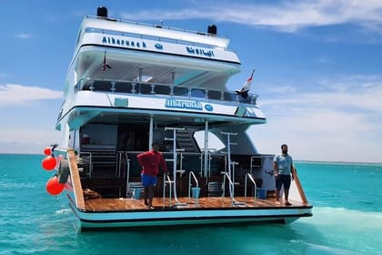 Hula Hula Island Snorkeling & Sailing Trip with Lunch – Hurghada