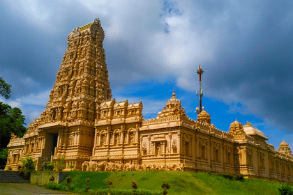 Fireflies and Blue Tears Nature Tour in Kuala Selangor