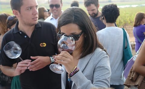 Vineyard Tour with Wine Tasting and Snacks in Requena