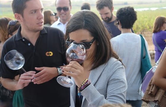 Vineyard Tour with Wine Tasting, Cava, and Snacks from Valencia