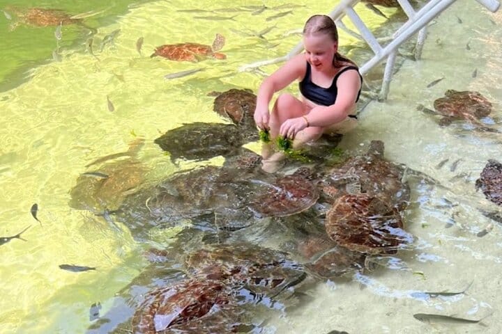 Explore Stone Town and Jozani Forest with Turtles Zanzibar