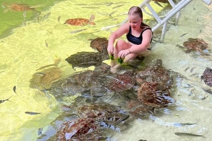 Swim with Sea Turtles at The Lagoons Zanzibar