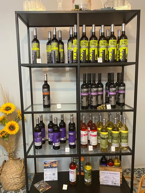 Taste of Tradition: Olive Oil, Wine & Fish 3