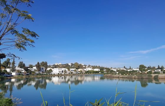 7 Day Guided Tunisia Tour Including Pickup