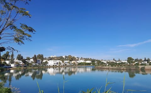 7-Day Guided Tour of Carthage, Douz, and El-Jem