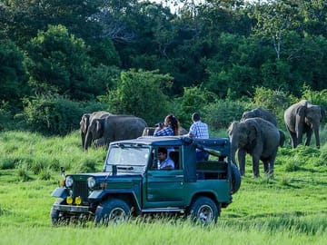 10-Day Adventure Safari in Uganda from Kampala