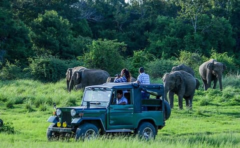 10-Day Adventure Safari in Uganda from Kampala