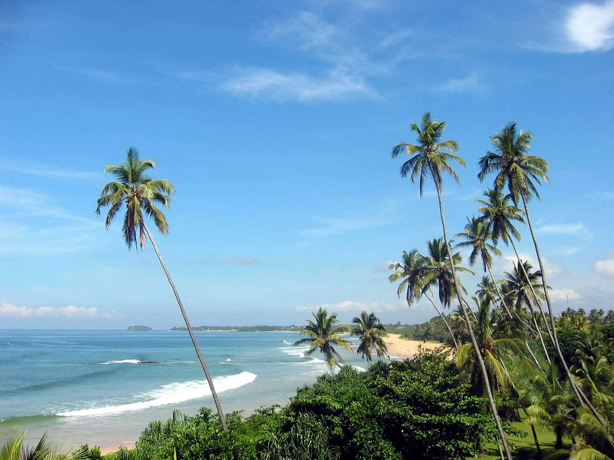 Wildlife & Adventure Tour in Sri Lanka: Explore Nature and Wildlife