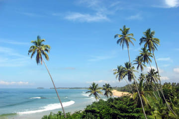 11-Day Wildlife and Adventure Tour in Colombo, Sri Lanka