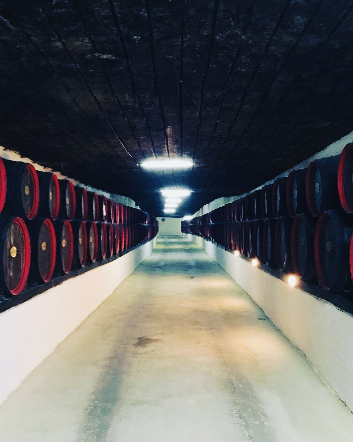 A real city of wine – with wide streets, warehouses, tasting-rooms and so on