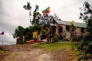 Private Tour Ocho Rios or Runaway Bay To 9 Mile Bob Marley Birth & Resting Place