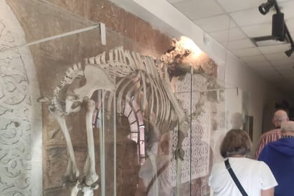 VIP Private Tour Pyramids Giza and 3rd Pyramid the Barone Palais