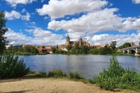 Madrid to Porto up to 3 stops: Avila, Salamanca and Aveiro 10