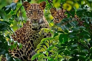 Two Day and One Night Safari From Zanzibar