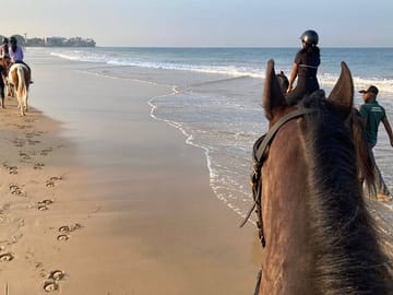 Private Horseback Riding Tour in Colombo's Coastal Nature