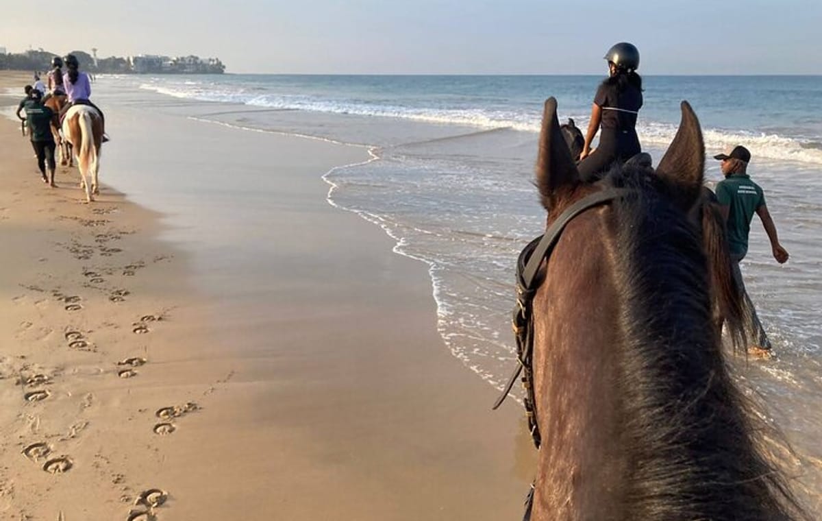 Private Horse Riding Activity in Port City