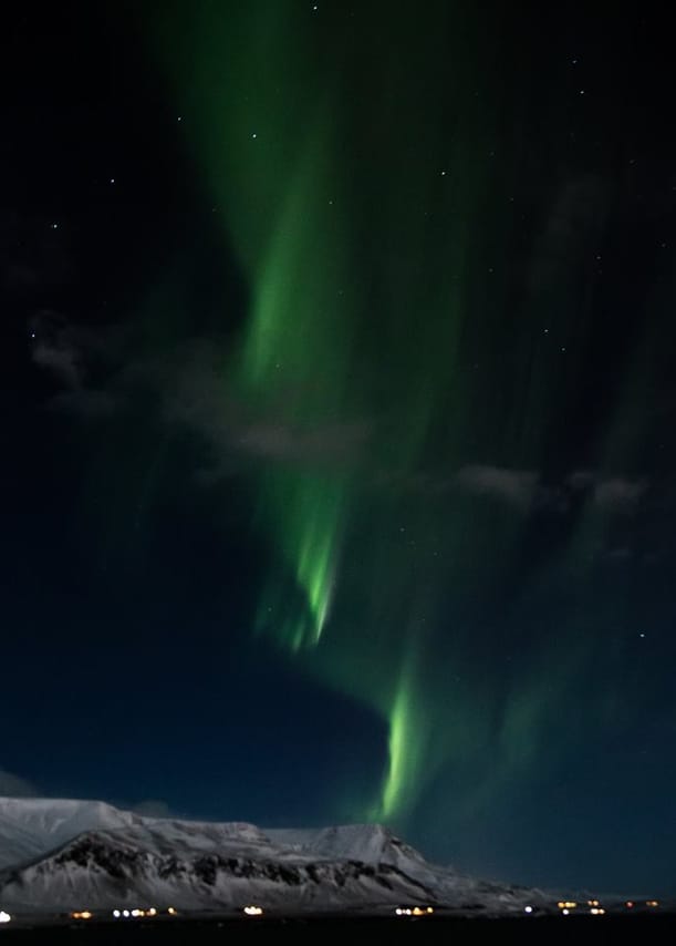 Whales & Auroras 2