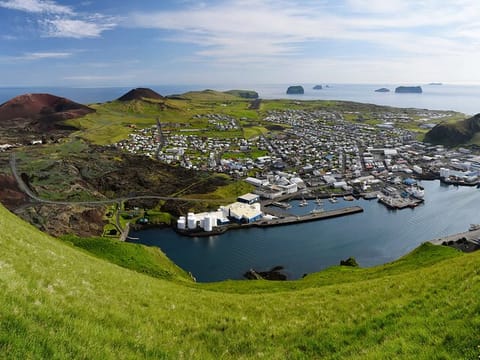 Reykjavik - Westman Islands (Bus transfer to Landeyjahöfn), photo 2