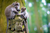 Bali Day Trip Tanah Lot Sunset Tour 5
