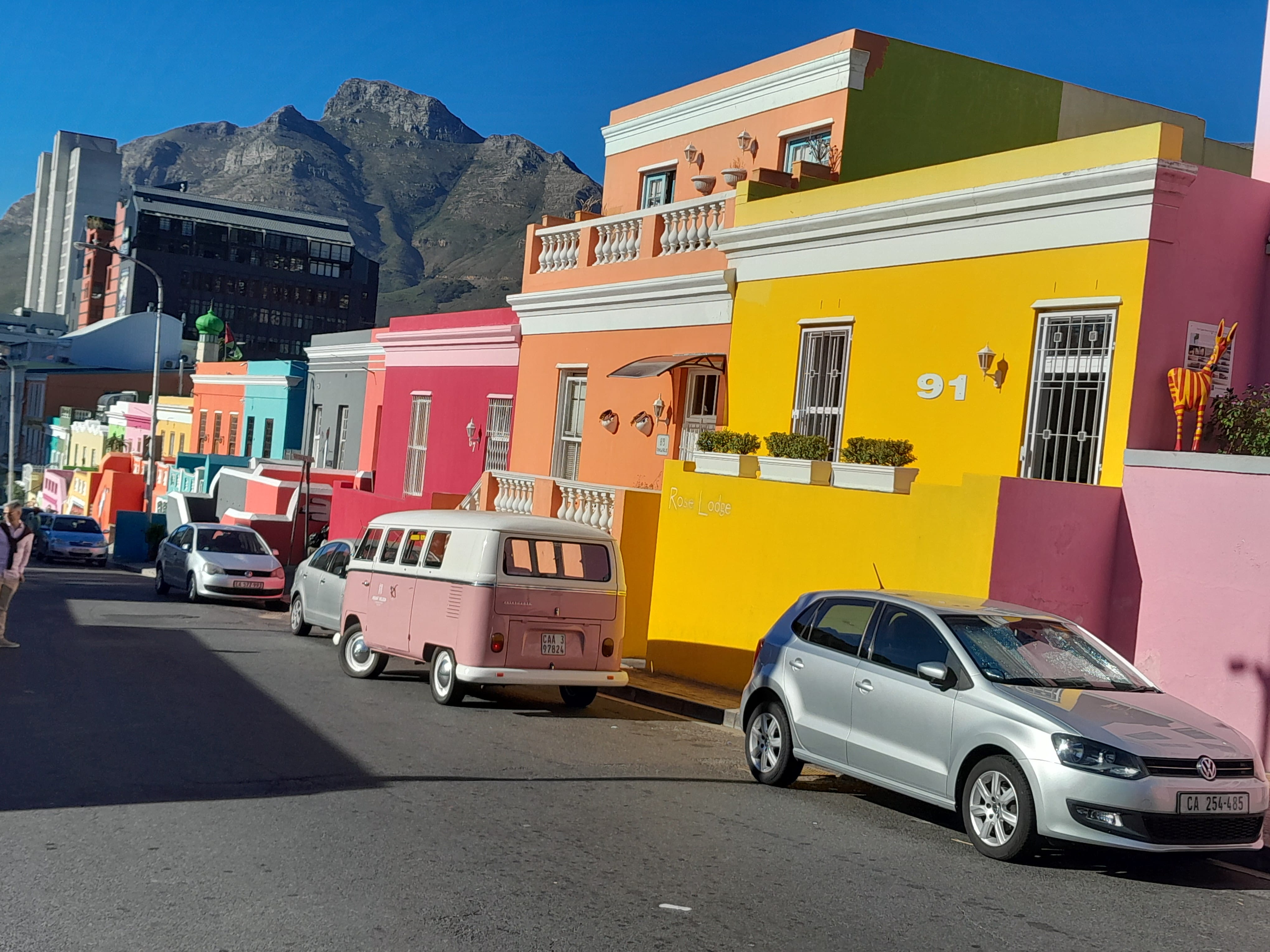 Half day Penguins boulders beach and cape point small Group tour.