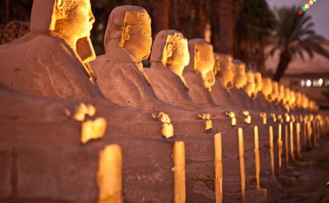 Cultural Nile Cruise Tour in Aswan and Cairo, Egypt