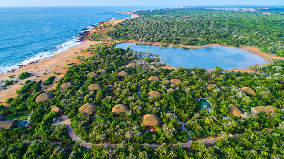 Hills & Safari Ceylon